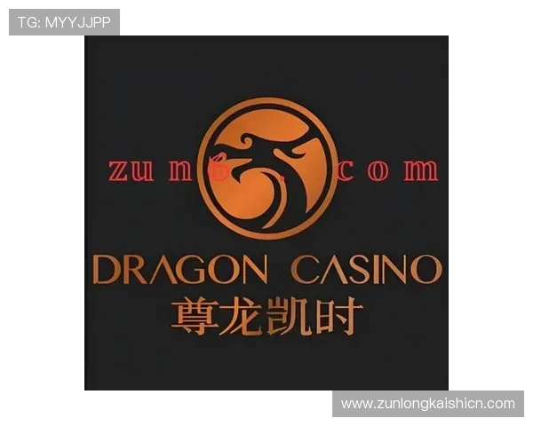 尊龙凯时客服为VIP客户提供专属定制服务，满足不同用户的个性化需求，提升满意度