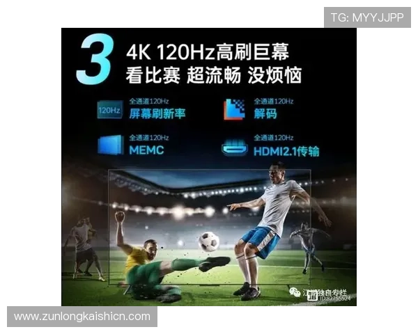 尊龙集团登录入口网址详细介绍，帮助用户快速找到官方登录通道