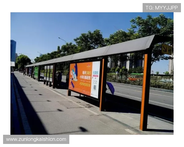 分析d88尊龙游戏大厅的支付方式多样性及其安全性保障措施