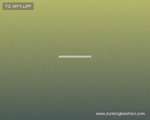 尊龙国际娱乐城未来发展规划与创新方向展望行业领先地位