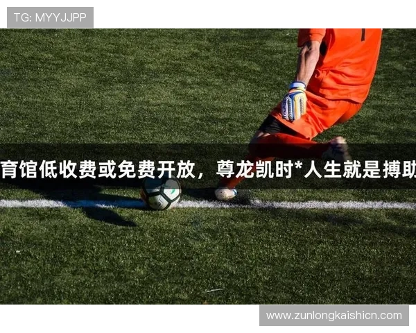 玩转尊龙凯时体育官网：新手必看的技巧与建议