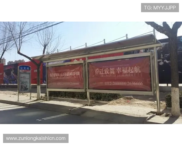 尊龙体育app下载安全稳定,保障用户的资金安全与个人信息隐私 尊龙体育app下载安全稳定,保障用户的资金安全与个人信息隐私